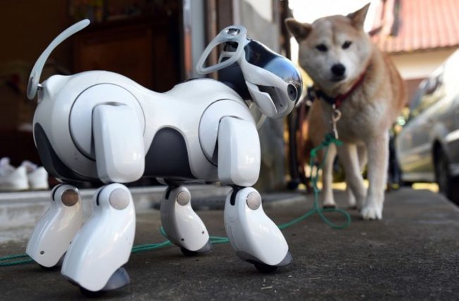 Photo of Sony выпустит обновлённую версию легендарного робота Aibo
